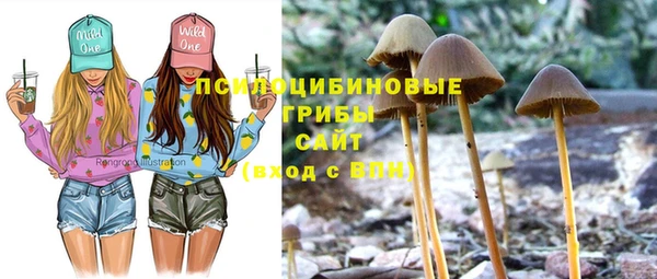 скорость Абаза