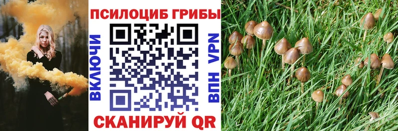 Псилоцибиновые грибы Psilocybe  Белая Калитва 
