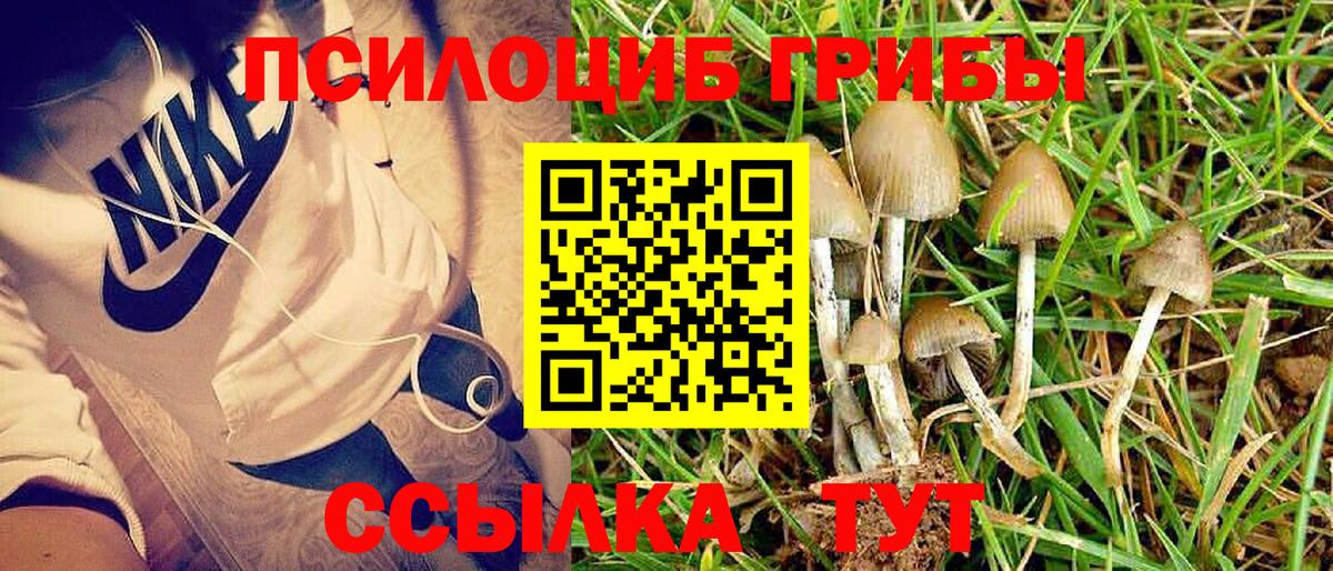 сколько стоит  Псилоцибиновые грибы мухоморы  Вход с VPN  Белая Калитва 